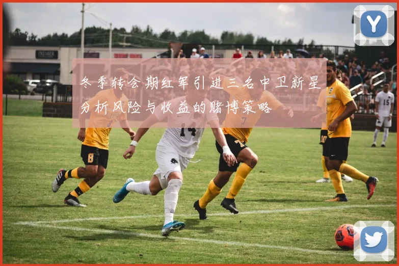 冬季转会期红军引进三名中卫新星分析风险与收益的赌博策略