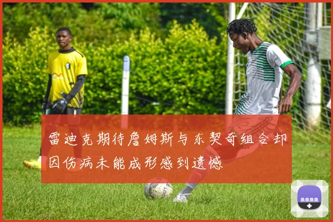 雷迪克期待詹姆斯与东契奇组合却因伤病未能成形感到遗憾