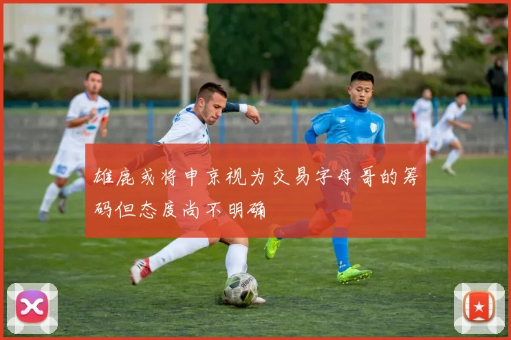 雄鹿或将申京视为交易字母哥的筹码但态度尚不明确
