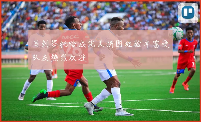 马刺签托哈成完美拼图经验丰富受队友热烈欢迎