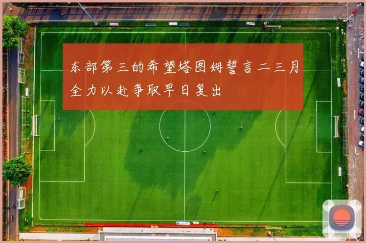 东部第三的希望塔图姆誓言二三月全力以赴争取早日复出