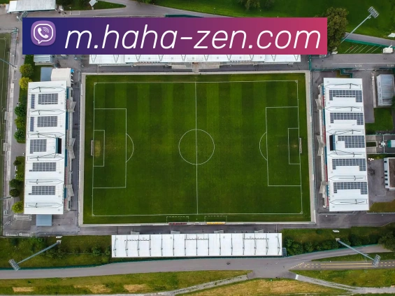 赛事专题整合